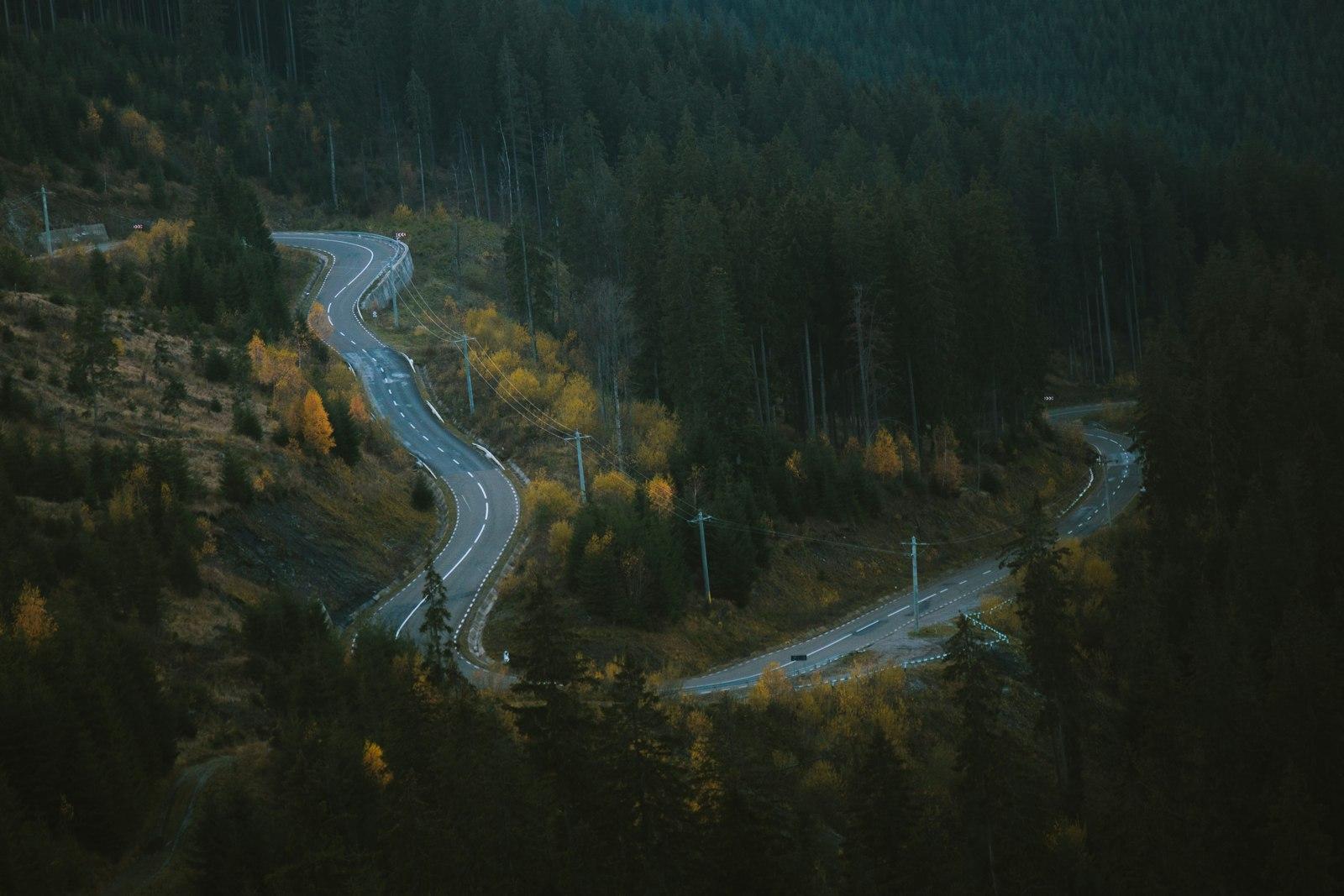 The Best Scenic Drives Near Your Cabin